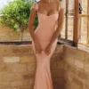 Antonella Peach Mesh Silhouette Maxi Dress Antonella Peach Mesh Silhouette Maxi Dress