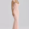 Antonella Peach Mesh Silhouette Maxi Dress Antonella Peach Mesh Silhouette Maxi Dress