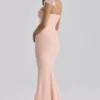 Antonella Peach Mesh Silhouette Maxi Dress Antonella Peach Mesh Silhouette Maxi Dress