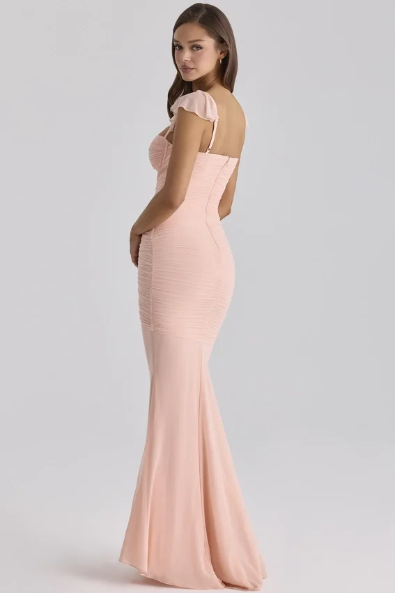 Antonella Peach Mesh Silhouette Maxi Dress Antonella Peach Mesh Silhouette Maxi Dress