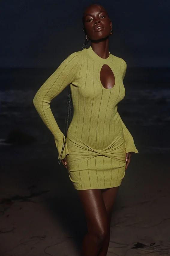 Aziza Pistachio Long Sleeve Mini Dress Aziza Pistachio Long Sleeve Mini Dress