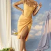 Bianca Tangerine Satin Pleated Corset Midi Dress Bianca Tangerine Satin Pleated Corset Midi Dress