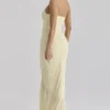 Carmine Lemon Mesh Silhouette Maxi Dress Carmine Lemon Mesh Silhouette Maxi Dress