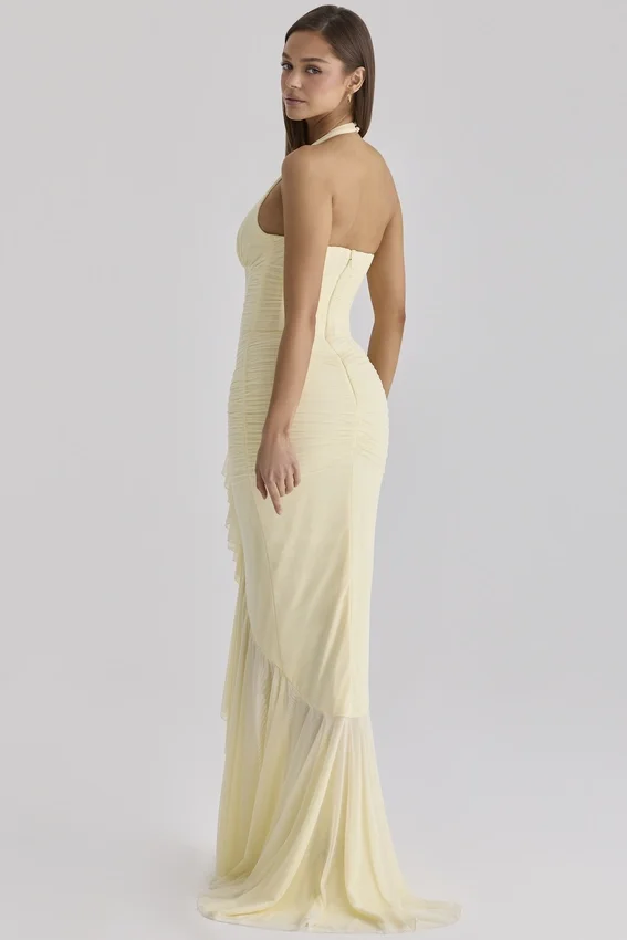Carmine Lemon Mesh Silhouette Maxi Dress Carmine Lemon Mesh Silhouette Maxi Dress