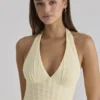 Carmine Lemon Mesh Silhouette Maxi Dress Carmine Lemon Mesh Silhouette Maxi Dress