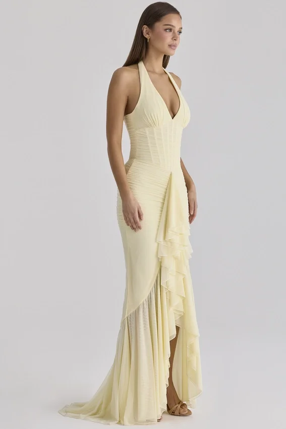 Carmine Lemon Mesh Silhouette Maxi Dress Carmine Lemon Mesh Silhouette Maxi Dress