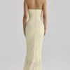 Carmine Lemon Mesh Silhouette Maxi Dress Carmine Lemon Mesh Silhouette Maxi Dress