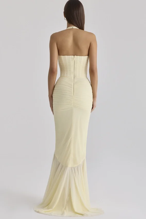 Carmine Lemon Mesh Silhouette Maxi Dress Carmine Lemon Mesh Silhouette Maxi Dress