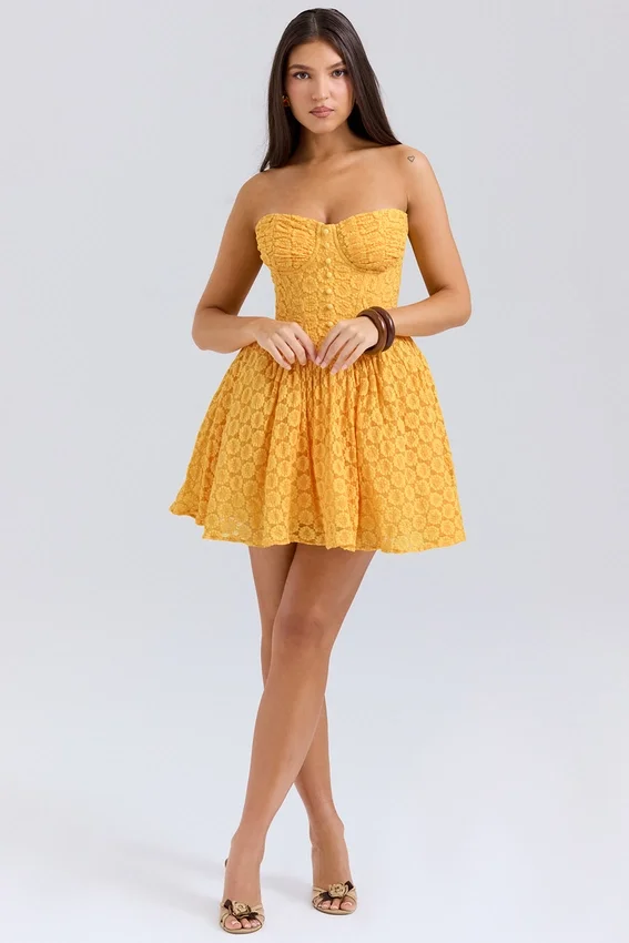Carolina Apricot Lace Corset Mini Dress Carolina Apricot Lace Corset Mini Dress