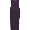 Charmaine Night Shade Corset Maxi Dress Charmaine Night Shade Corset Maxi Dress