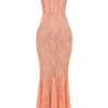 Cordelia Sorbet Lace Godet Maxi Dress Cordelia Sorbet Lace Godet Maxi Dress
