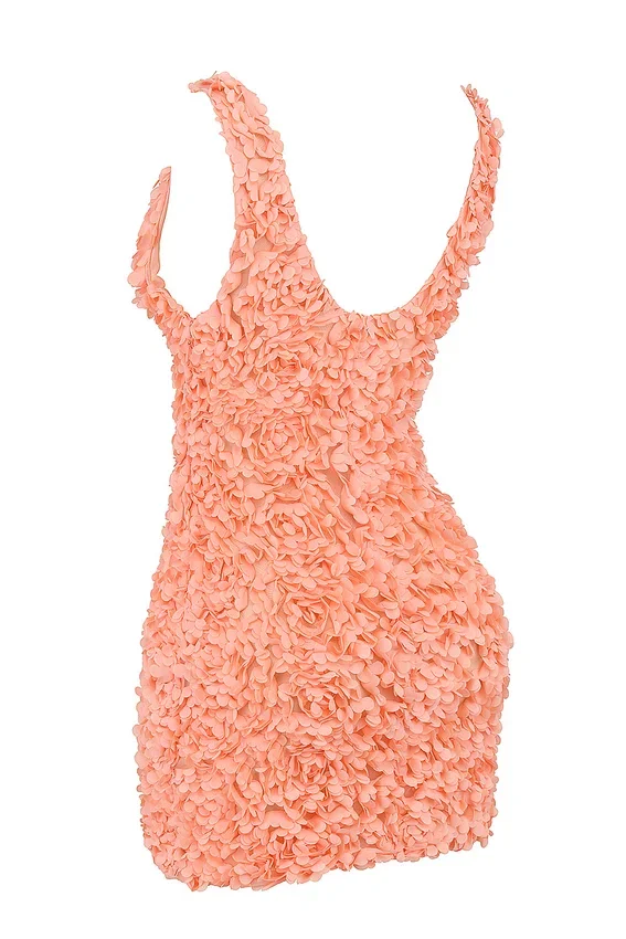 Faena Sorbet Plunge Floral Appliqué Mini Dress Faena Sorbet Plunge Floral Appliqué Mini Dress