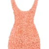 Faena Sorbet Plunge Floral Appliqué Mini Dress Faena Sorbet Plunge Floral Appliqué Mini Dress