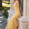 Joan Apricot Lace Up Back Maxi Dress Joan Apricot Lace Up Back Maxi Dress