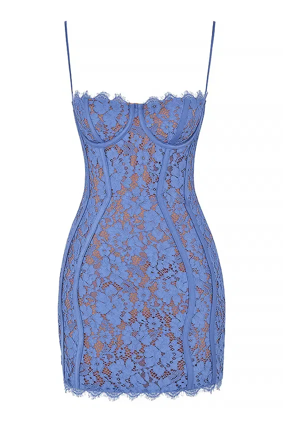 Lala Lavender Lace Mini Dress Lala Lavender Lace Mini Dress