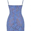 Lala Lavender Lace Mini Dress Lala Lavender Lace Mini Dress
