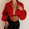 Laraine Cherry Silk Blouson Top