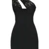 Lily Black Lace Mini Dress Lily Black Lace Mini Dress