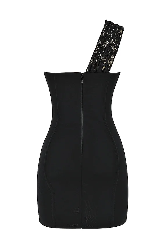 Lily Black Lace Mini Dress Lily Black Lace Mini Dress