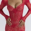 Lucienne Red Lace Embroidered Mini Dress – Limited Edition