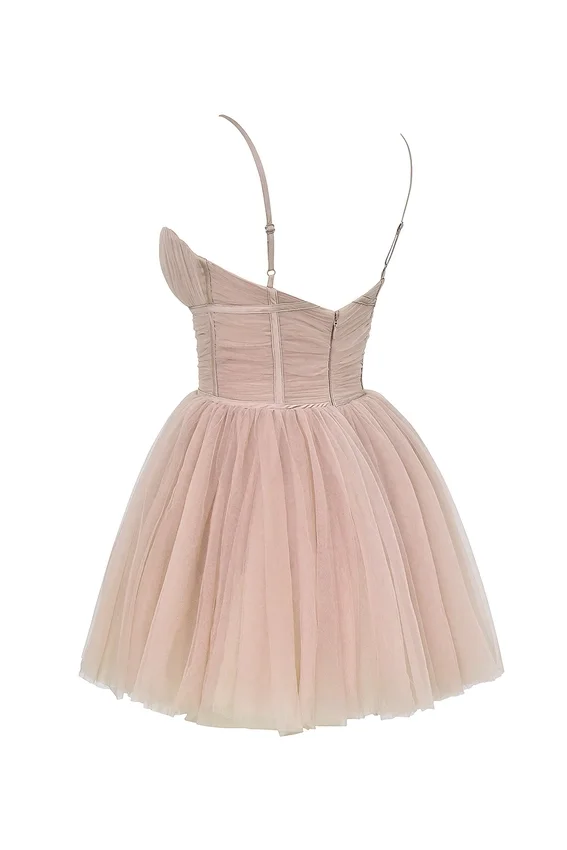 Princess French Rose Tulle Mini Dress Princess French Rose Tulle Mini Dress