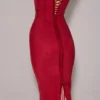 Romy Wine Mesh Bodycon Maxi Dress Romy Wine Mesh Bodycon Maxi Dress