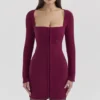Selene Berry Bodycon Mini Dress Selene Berry Bodycon Mini Dress