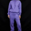 Halo Purple Cotton Fleece-Back Oversized Hoodie Halo Purple Cotton Fleece-Back Oversized Hoodie