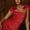 Tiff Holly Red Velvet Lace Maxi Dress Tiff Holly Red Velvet Lace Maxi Dress