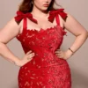 Tiff Holly Red Velvet Lace Maxi Dress Tiff Holly Red Velvet Lace Maxi Dress